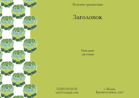 Горизонтальные листовки A6 - Каменная роза