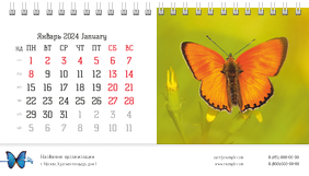 Настольные перекидные календари - Бабочки
