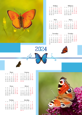 Вертикальные календари-постеры A3 - Бабочки Лицевая сторона