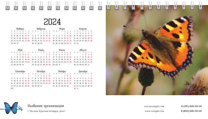 Настольные перекидные календари - Бабочки Первая основа