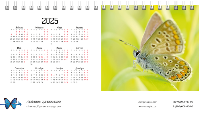 Настольные перекидные календари - Бабочки Вторая основа