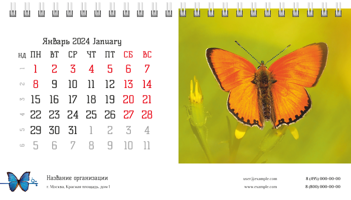 Настольные перекидные календари - Бабочки Январь