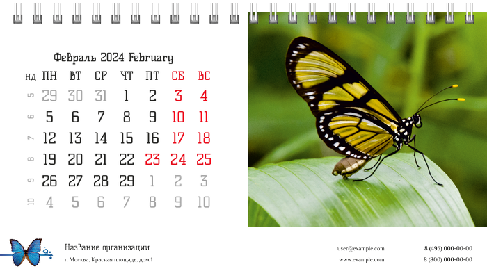 Настольные перекидные календари - Бабочки Февраль