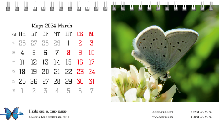 Настольные перекидные календари - Бабочки Март