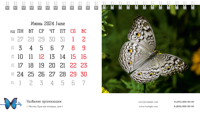 Настольные перекидные календари - Бабочки Июнь
