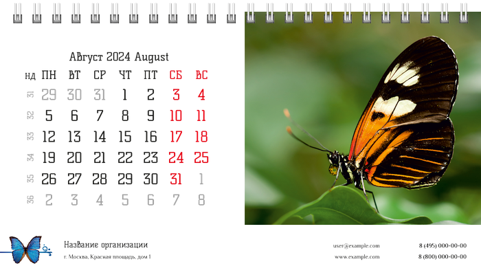 Настольные перекидные календари - Бабочки Август