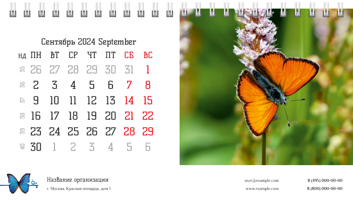Настольные перекидные календари - Бабочки Сентябрь