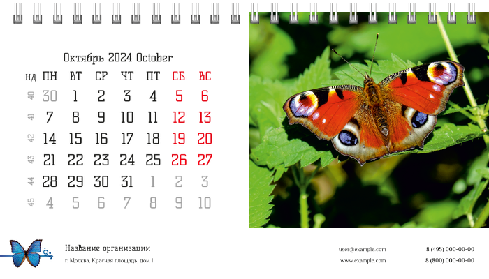 Настольные перекидные календари - Бабочки Октябрь