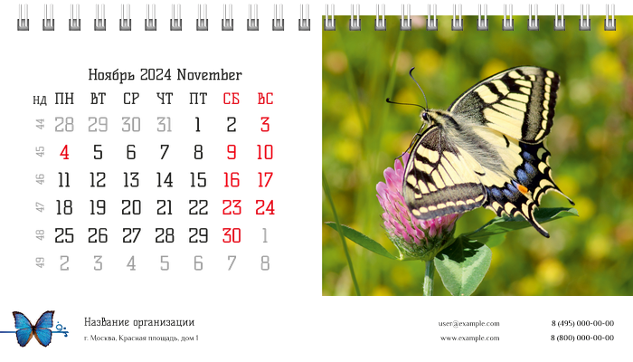 Настольные перекидные календари - Бабочки Ноябрь