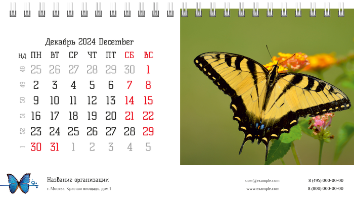 Настольные перекидные календари - Бабочки Декабрь