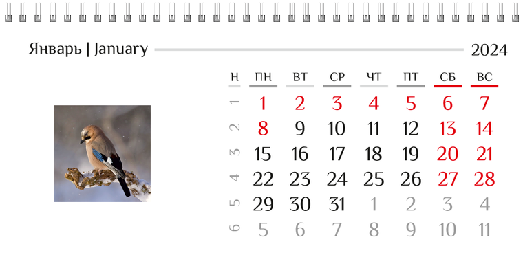 Квартальные календари - Природа Январь