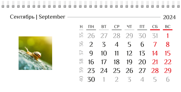 Квартальные календари - Природа Сентябрь